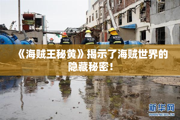 《海贼王秘黄》揭示了海贼世界的隐藏秘密！