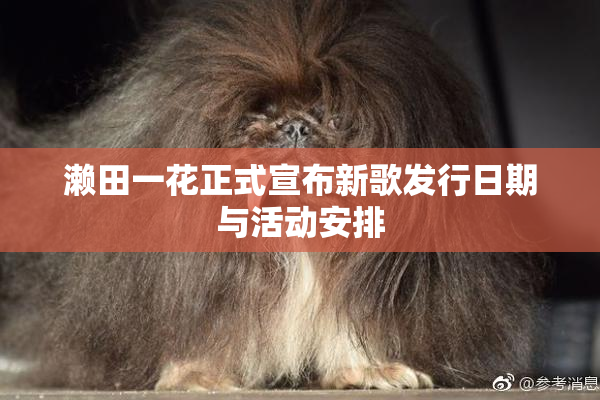 濑田一花正式宣布新歌发行日期与活动安排