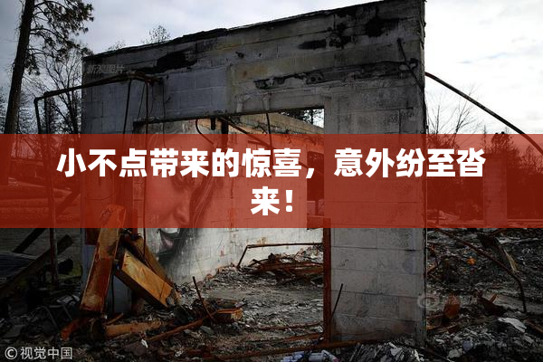 小不点带来的惊喜，意外纷至沓来！
