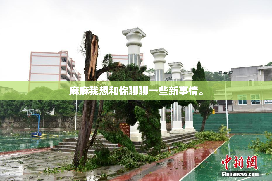 麻麻我想和你聊聊一些新事情。