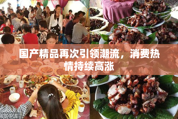 国产精品再次引领潮流，消费热情持续高涨