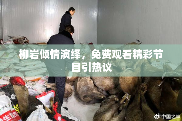 柳岩倾情演绎，免费观看精彩节目引热议