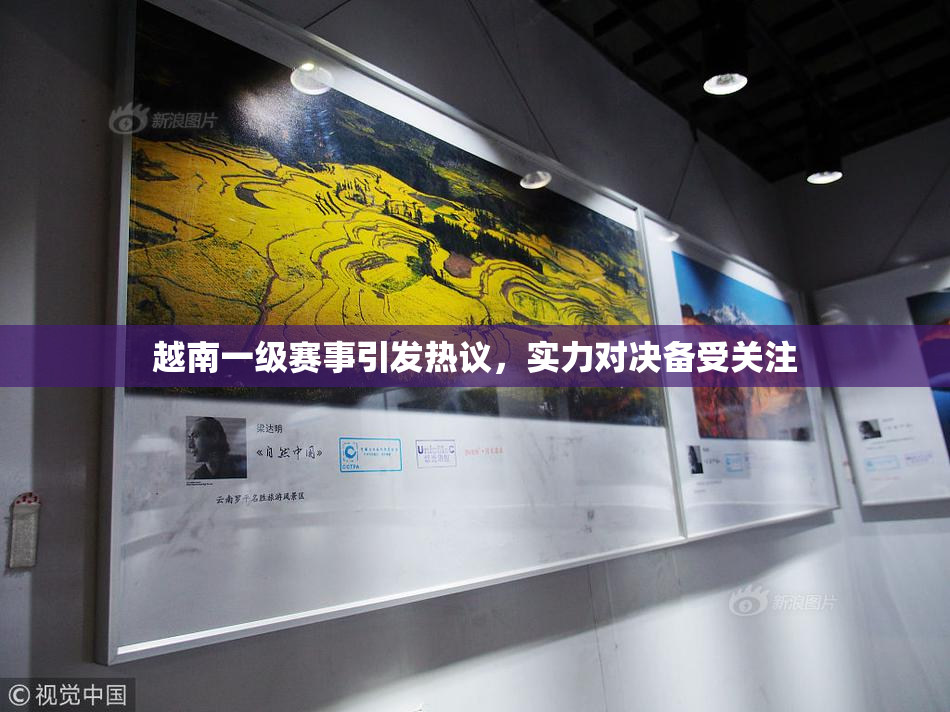 越南一级赛事引发热议，实力对决备受关注
