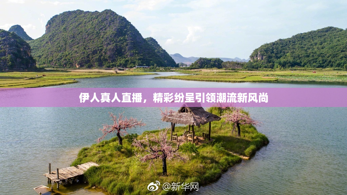 伊人真人直播，精彩纷呈引领潮流新风尚