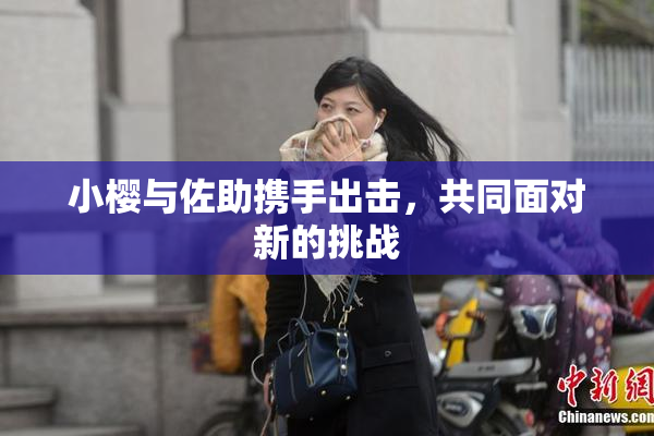小樱与佐助携手出击，共同面对新的挑战