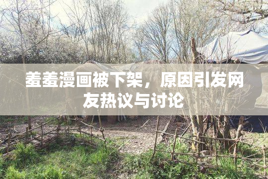 羞羞漫画被下架，原因引发网友热议与讨论