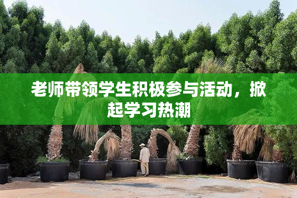 老师带领学生积极参与活动，掀起学习热潮