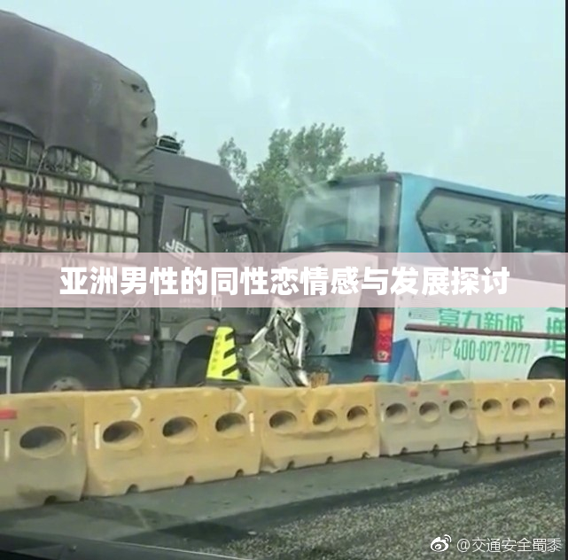 亚洲男性的同性恋情感与发展探讨