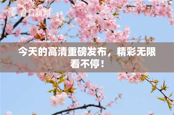 今天的高清重磅发布，精彩无限看不停！