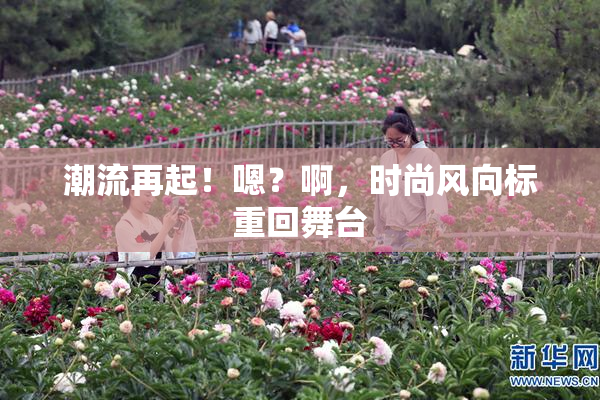 潮流再起！嗯？啊，时尚风向标重回舞台