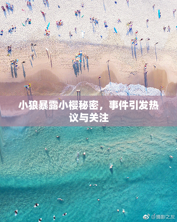 小狼暴露小樱秘密，事件引发热议与关注