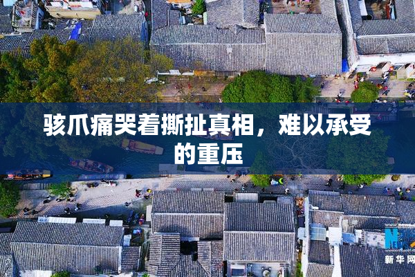 骇爪痛哭着撕扯真相，难以承受的重压
