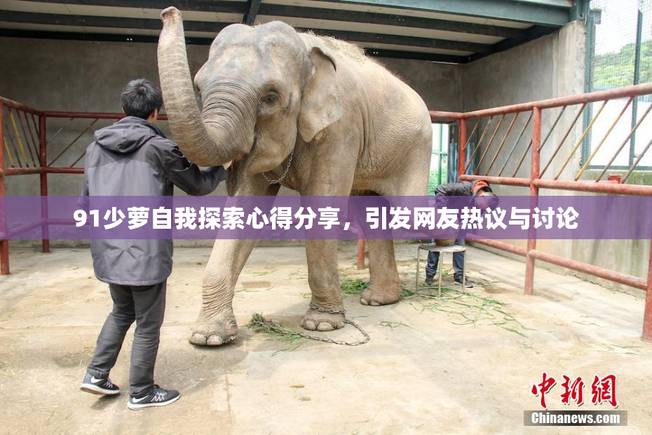 91少萝自我探索心得分享，引发网友热议与讨论