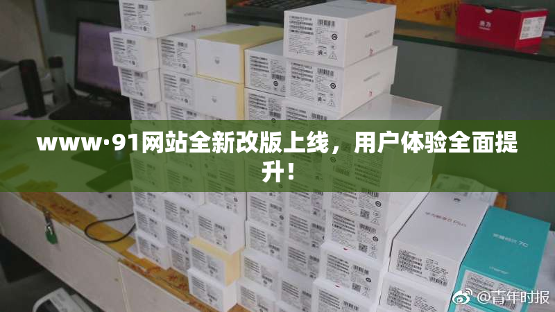 www·91网站全新改版上线，用户体验全面提升！