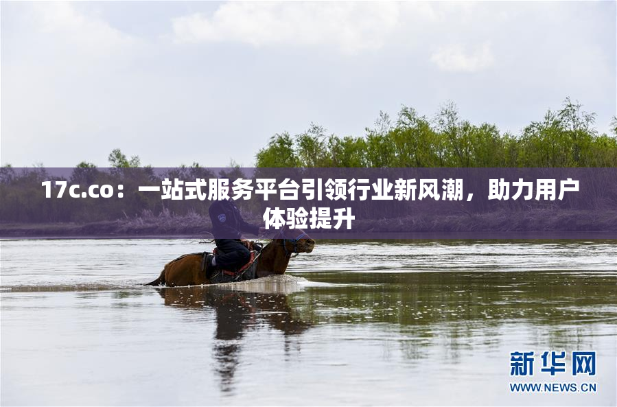 17c.co：一站式服务平台引领行业新风潮，助力用户体验提升