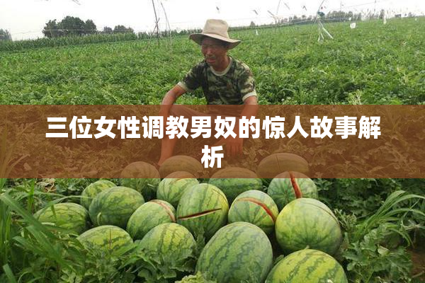 三位女性调教男奴的惊人故事解析