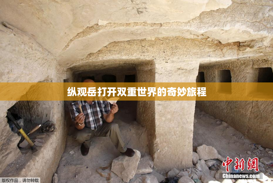 纵观岳打开双重世界的奇妙旅程