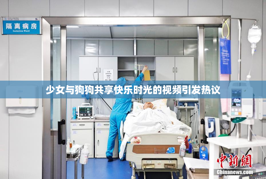 少女与狗狗共享快乐时光的视频引发热议