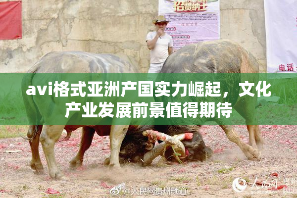 avi格式亚洲产国实力崛起，文化产业发展前景值得期待