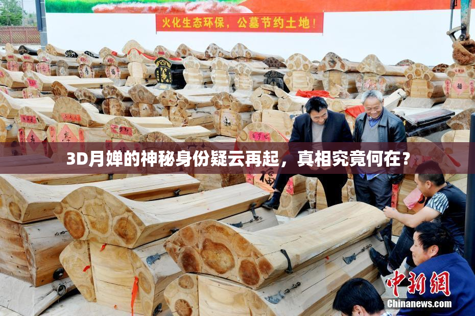 3D月婵的神秘身份疑云再起，真相究竟何在？