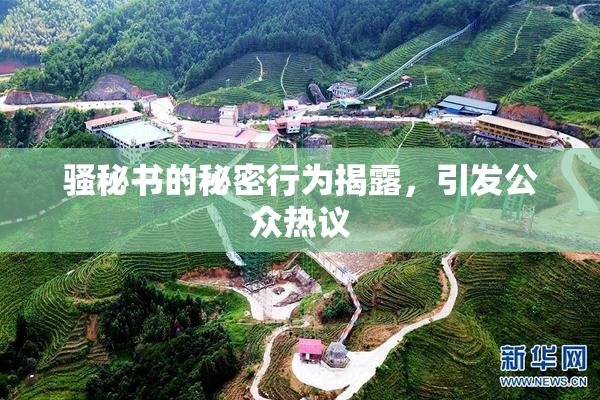 骚秘书的秘密行为揭露，引发公众热议