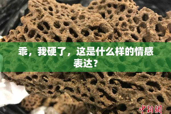 乖，我硬了，这是什么样的情感表达？