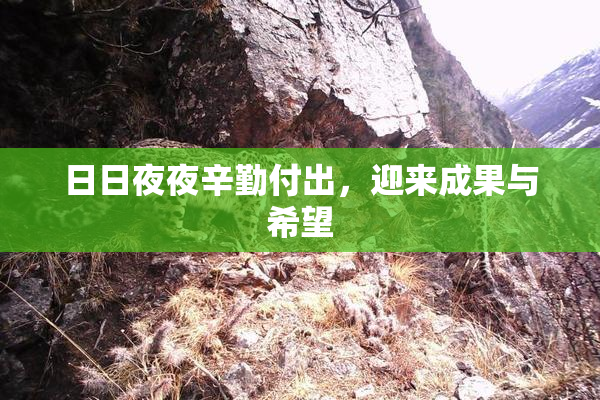日日夜夜辛勤付出，迎来成果与希望