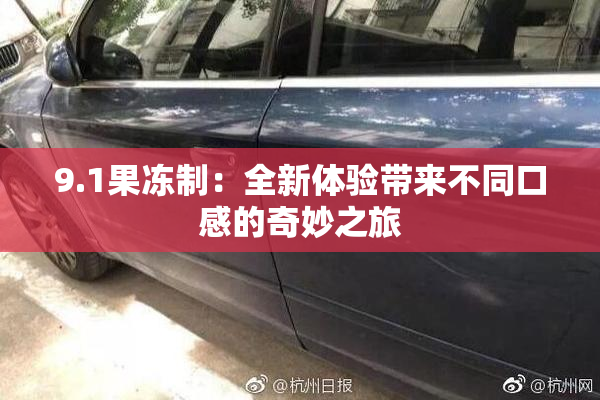 9.1果冻制：全新体验带来不同口感的奇妙之旅