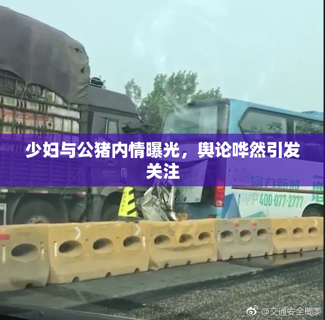 少妇与公猪内情曝光，舆论哗然引发关注