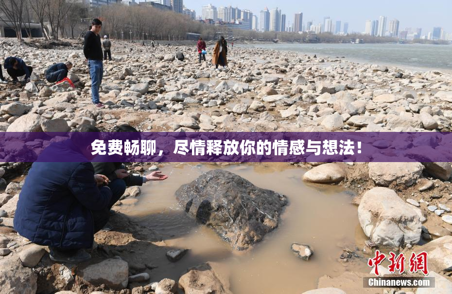 免费畅聊，尽情释放你的情感与想法！