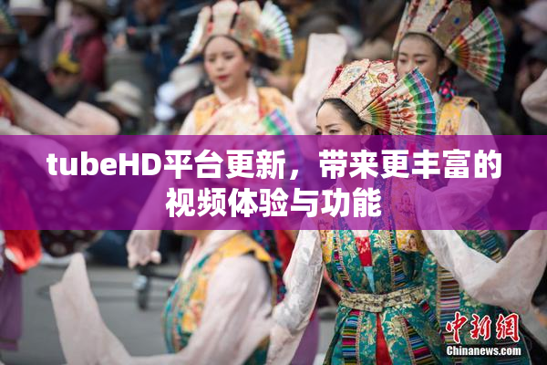 tubeHD平台更新，带来更丰富的视频体验与功能