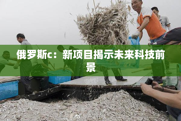 俄罗斯c：新项目揭示未来科技前景