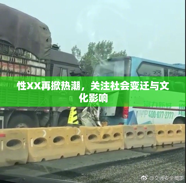 性XX再掀热潮，关注社会变迁与文化影响