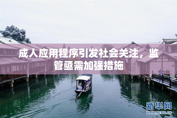 成人应用程序引发社会关注，监管亟需加强措施