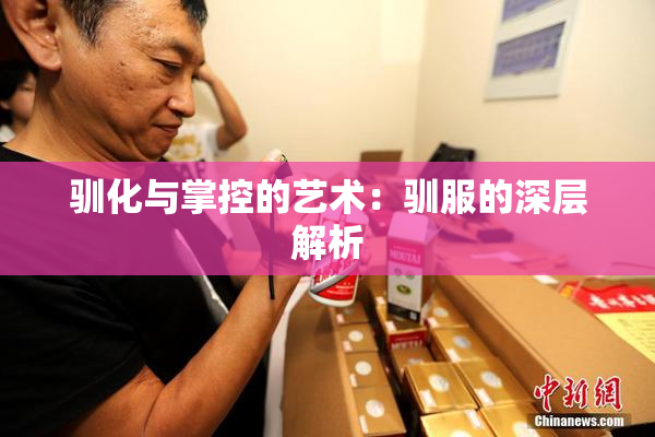 驯化与掌控的艺术：驯服的深层解析