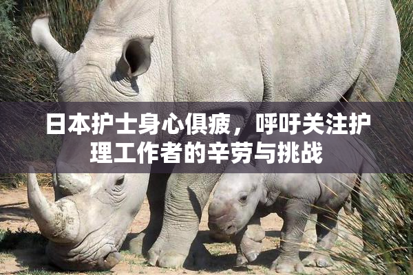 日本护士身心俱疲，呼吁关注护理工作者的辛劳与挑战