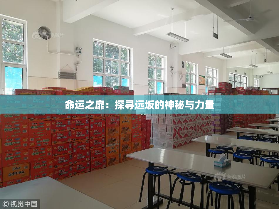 命运之扉：探寻远坂的神秘与力量
