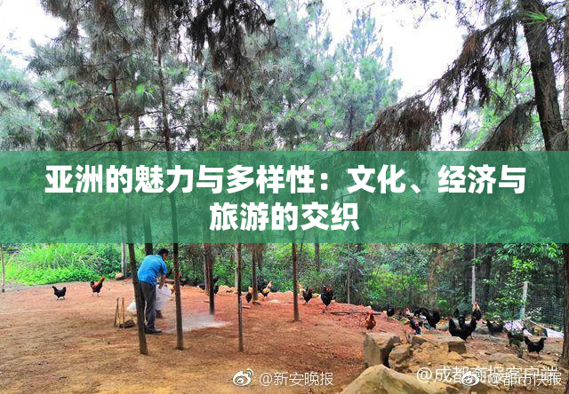 亚洲的魅力与多样性：文化、经济与旅游的交织