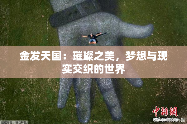 金发天国：璀璨之美，梦想与现实交织的世界