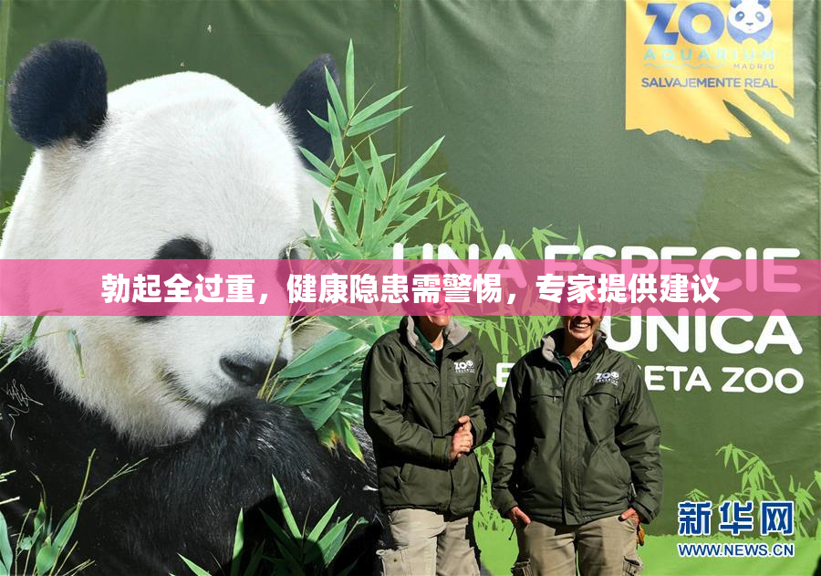 勃起全过重，健康隐患需警惕，专家提供建议