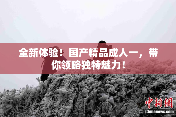 全新体验！国产精品成人一，带你领略独特魅力！