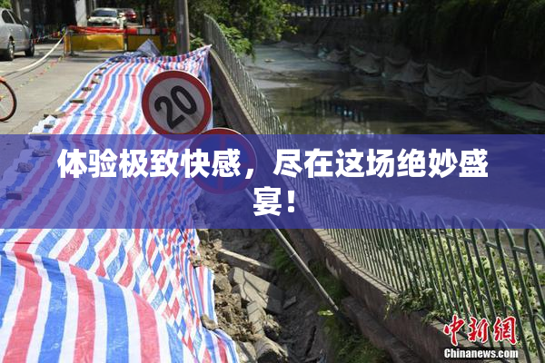 体验极致快感，尽在这场绝妙盛宴！