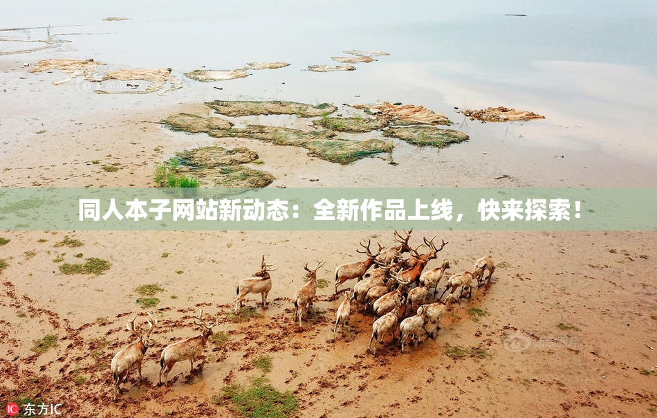 同人本子网站新动态：全新作品上线，快来探索！
