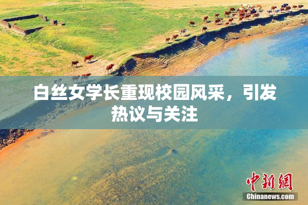 白丝女学长重现校园风采，引发热议与关注