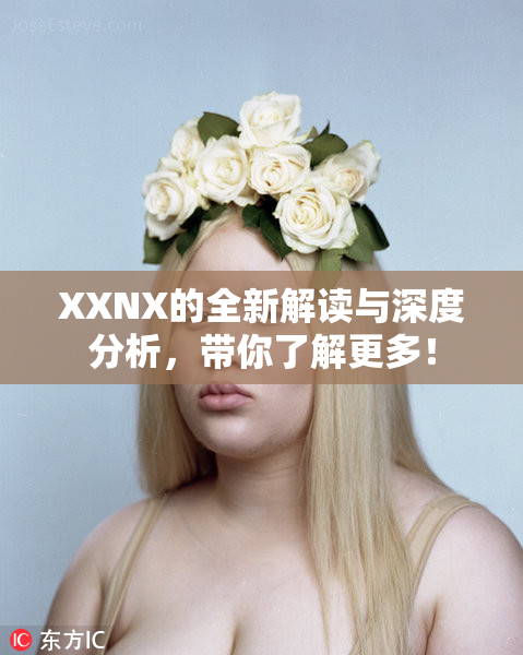 XXNX的全新解读与深度分析，带你了解更多！