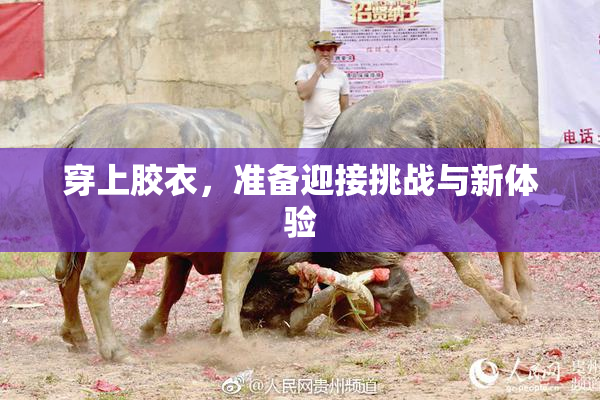穿上胶衣，准备迎接挑战与新体验