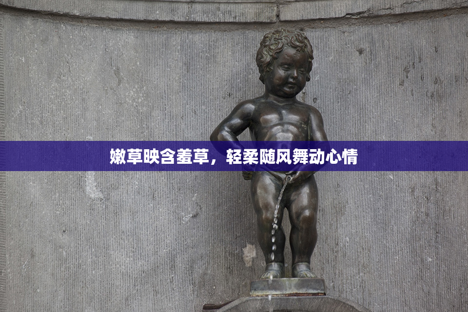 嫩草映含羞草，轻柔随风舞动心情