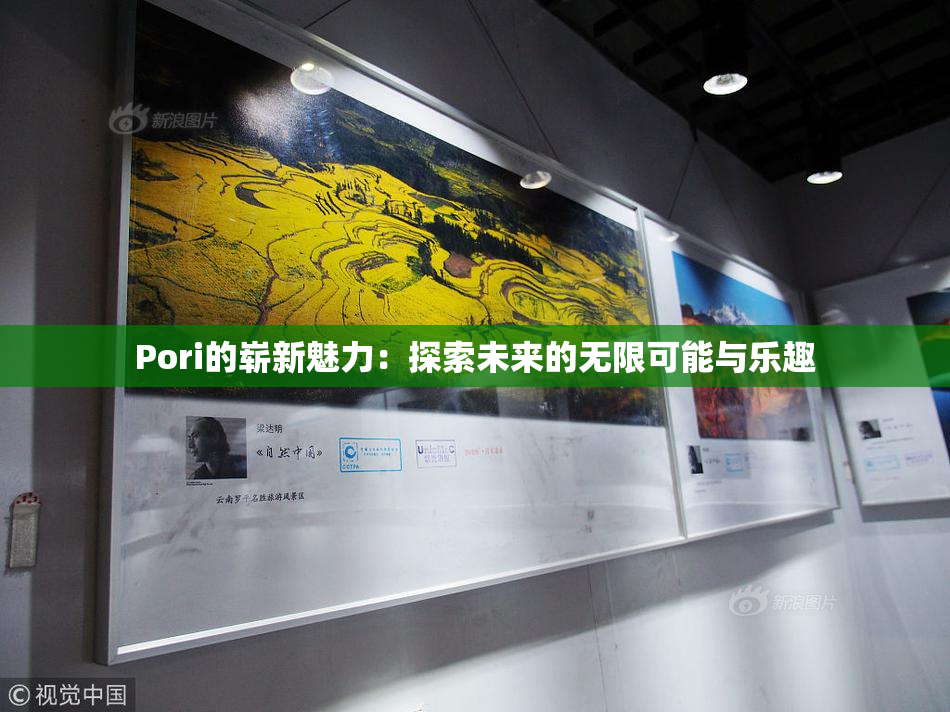 Pori的崭新魅力：探索未来的无限可能与乐趣