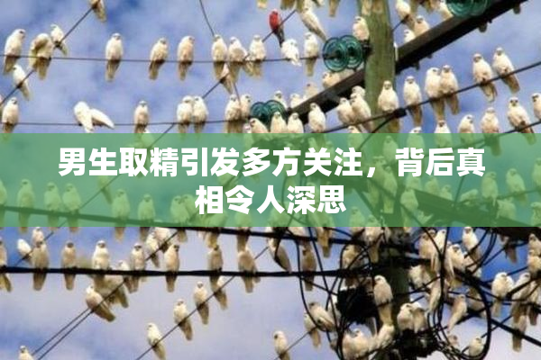 男生取精引发多方关注，背后真相令人深思