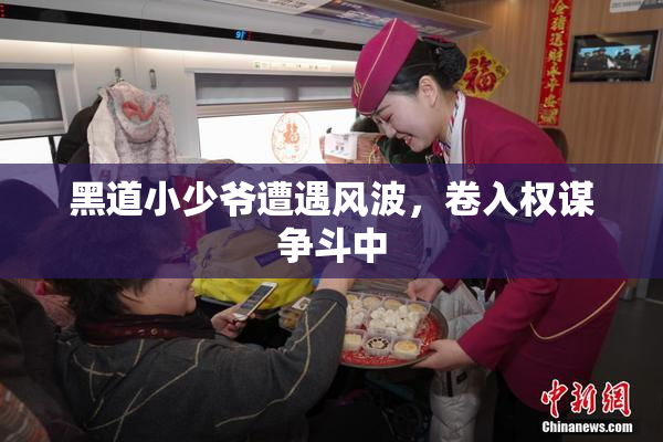 黑道小少爷遭遇风波，卷入权谋争斗中